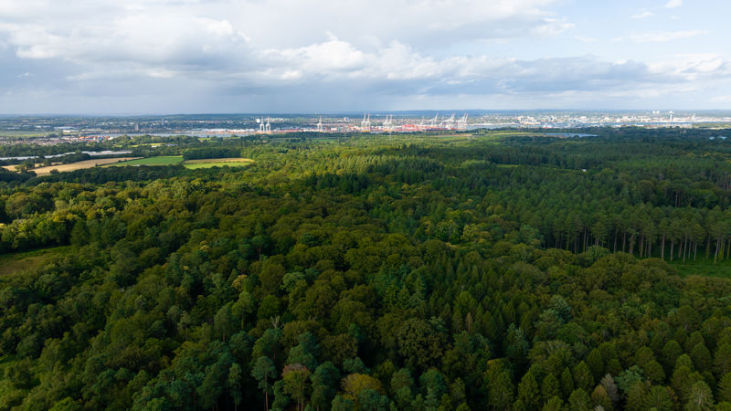 Picture of the New Forest National Park from a drone