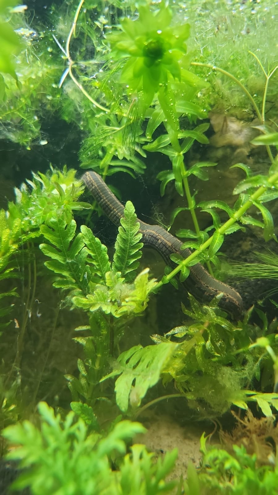 E6fc2edb C02b 4389 Ba10 F0355050297c