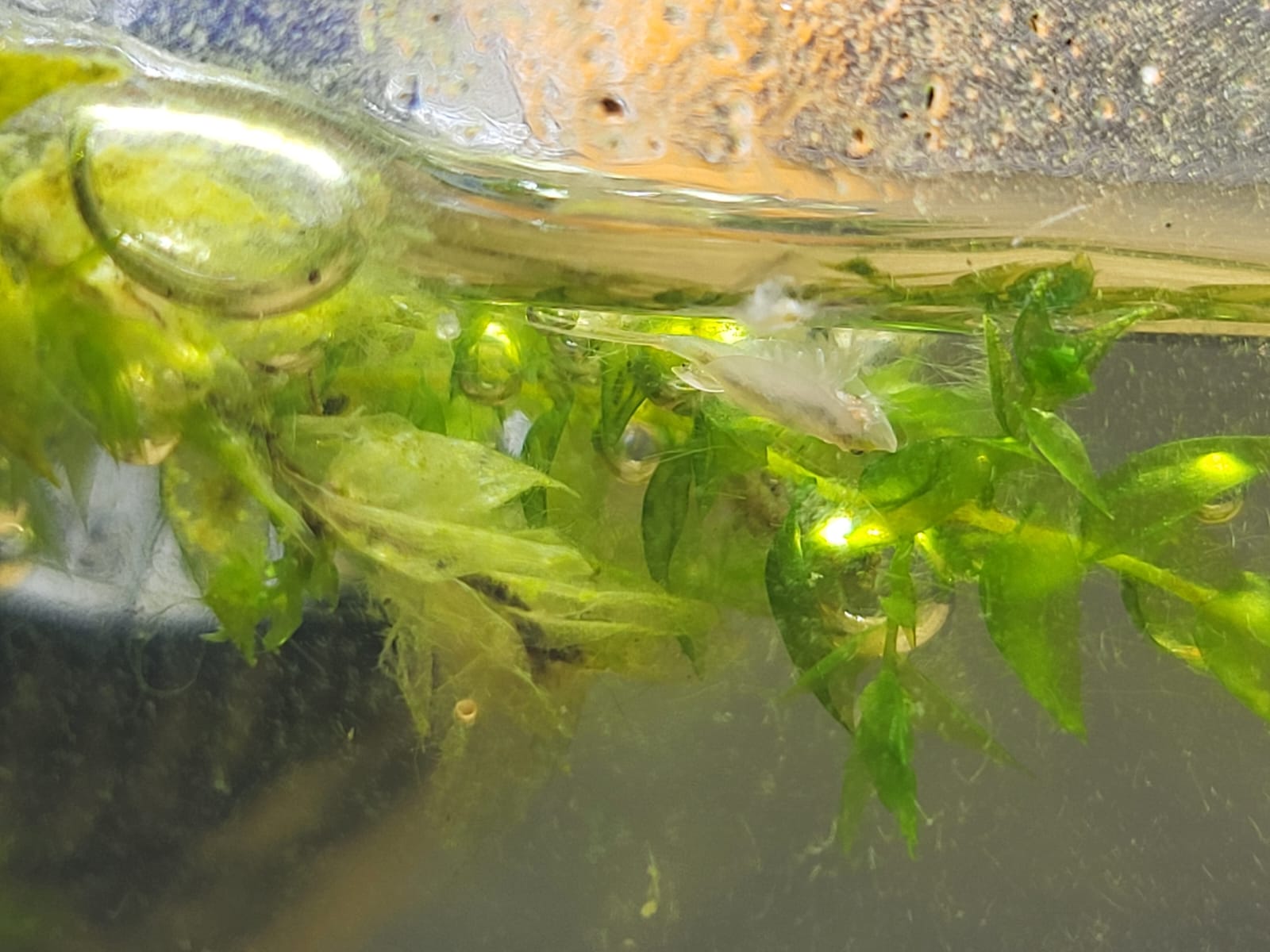 229C748e F5bc 4Aba 926B 73Cd599e0c29