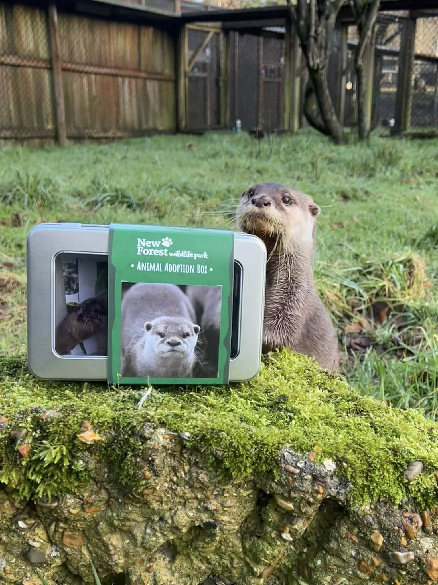 678980810 10165154572193023 3494234044344049724 N