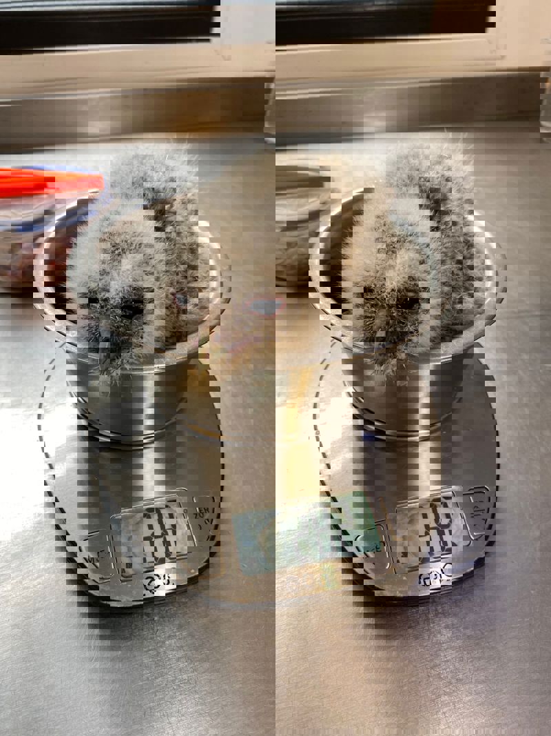 F88afab9 D242 4B1c 9400 62185316A9c2