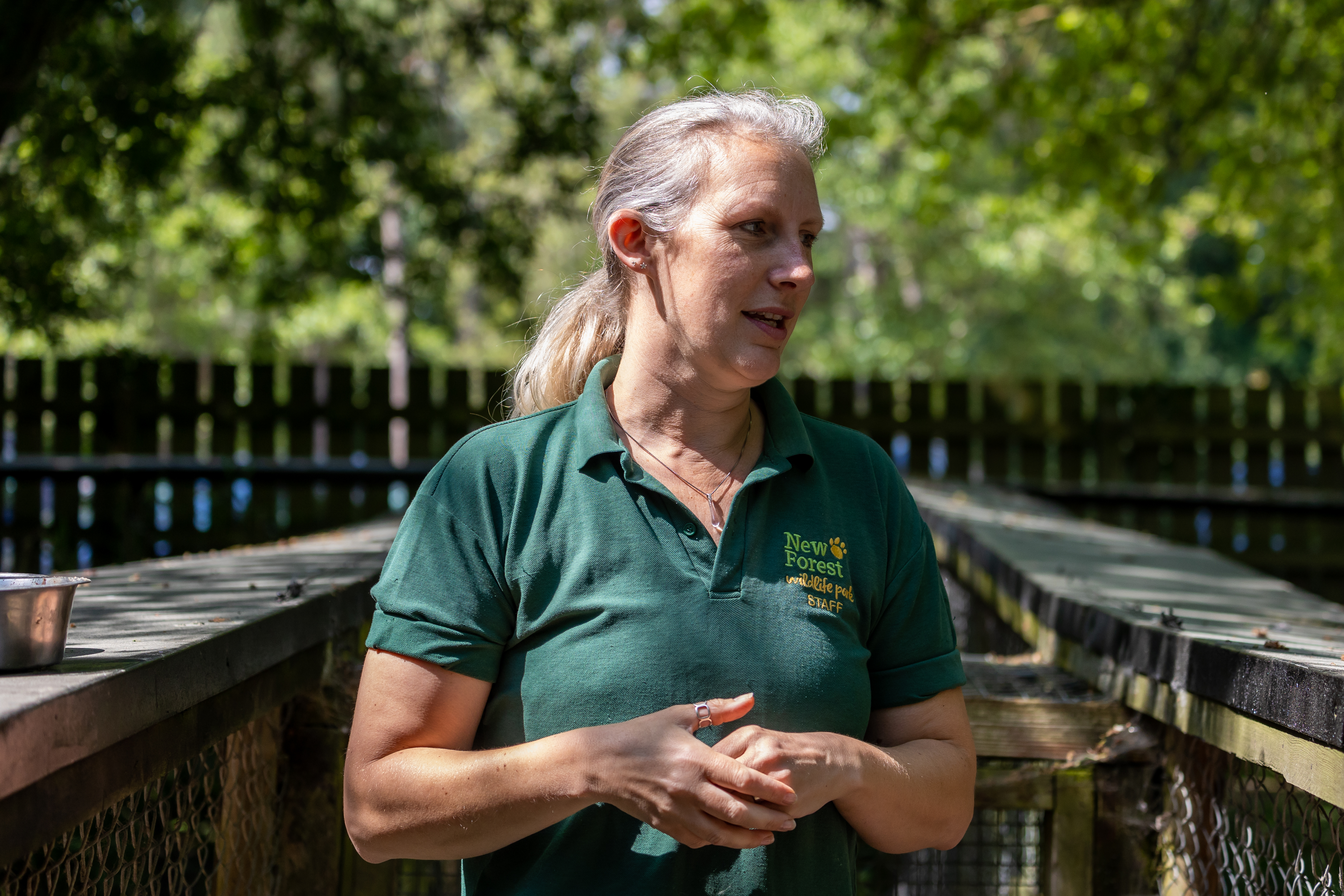 New Forest Wildlife Park 04