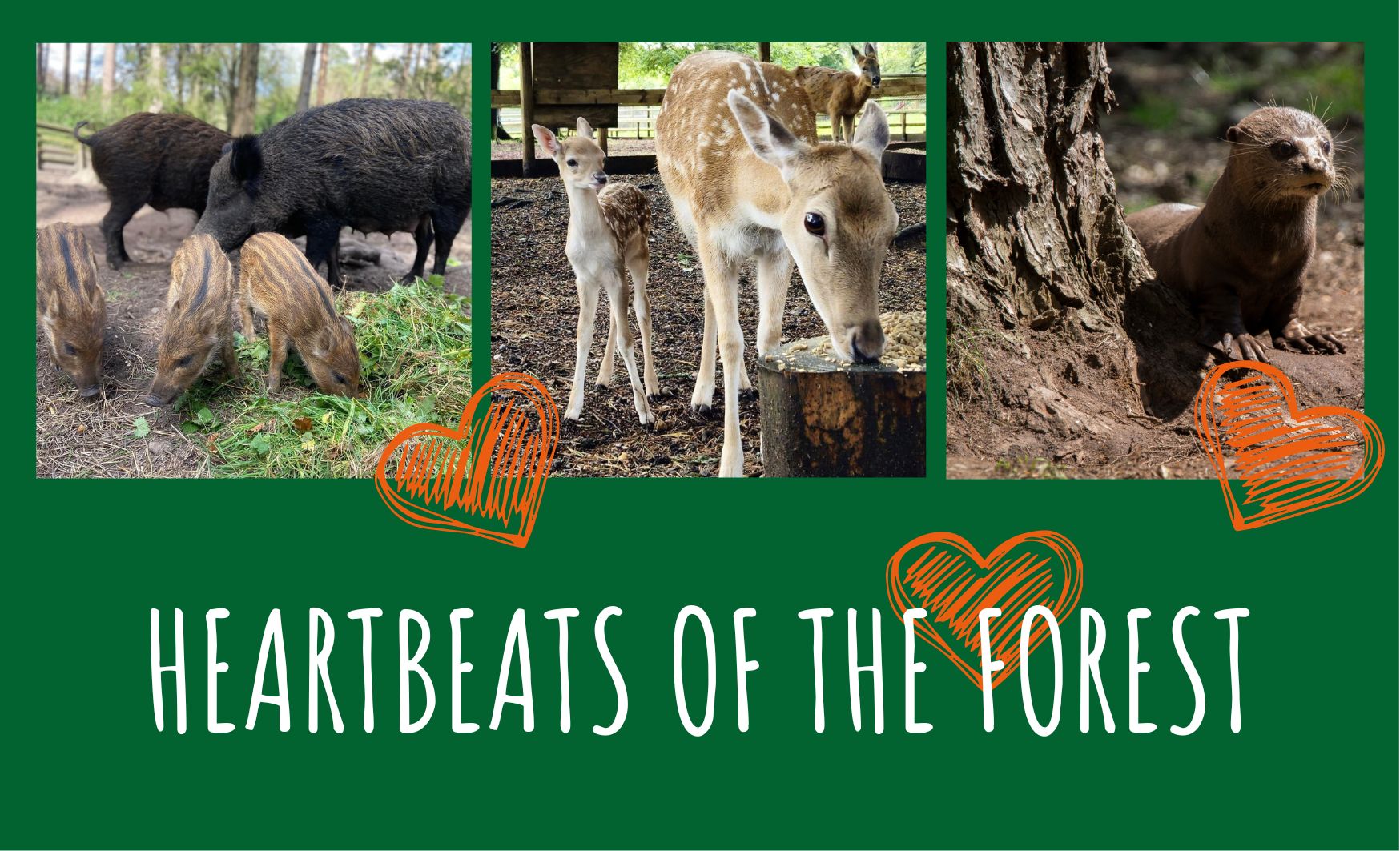 Heartbeats Homepage Lozenge