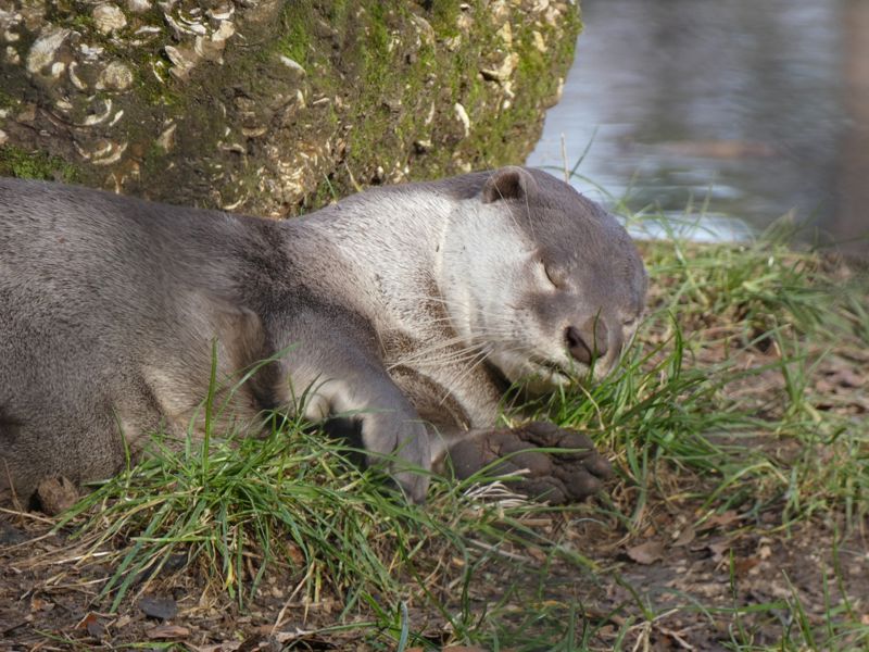 328837858 3392116927782409 2196110508941551941 N