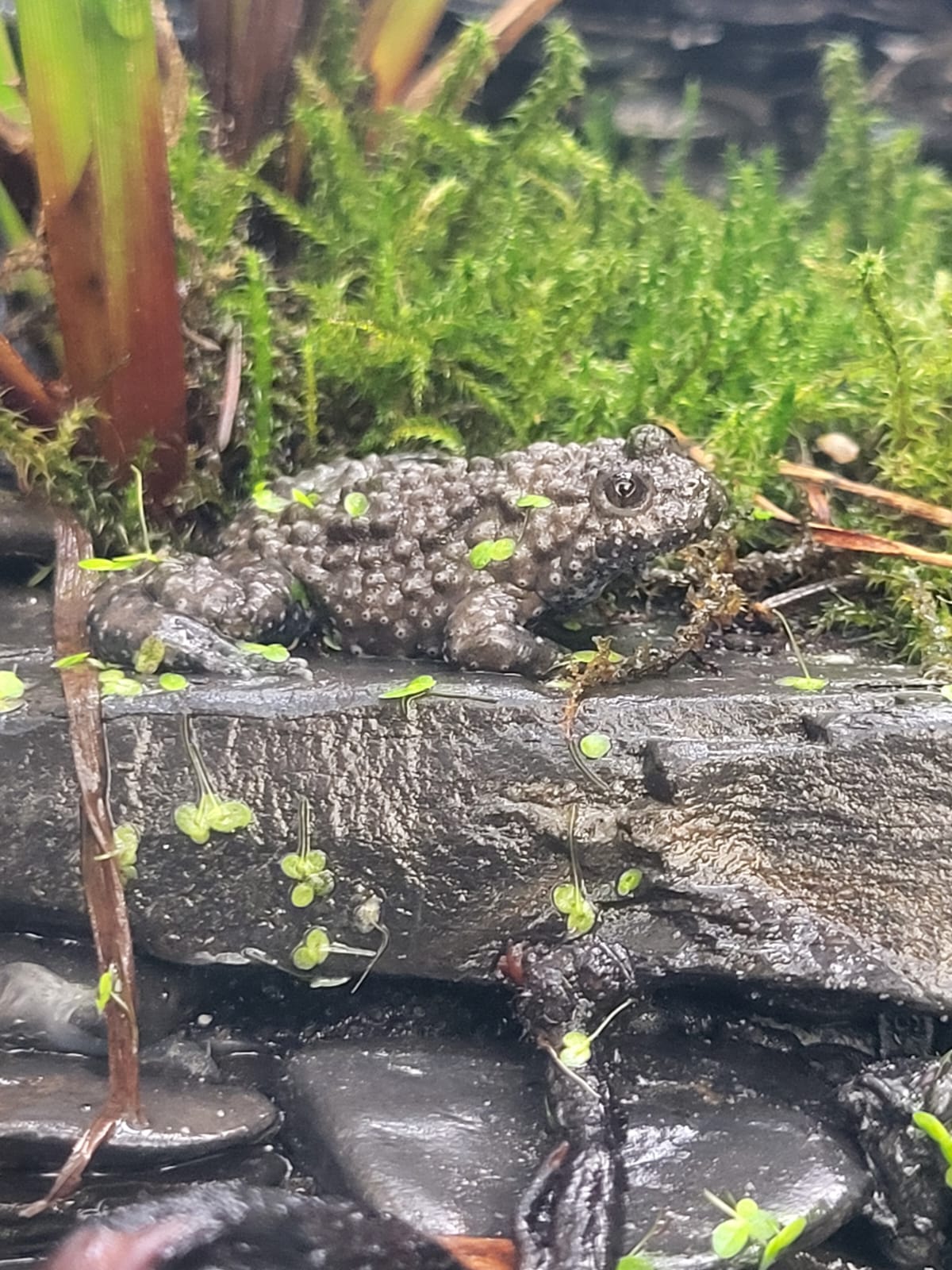 E3b1bbc2 F578 480E 8Cf7 38F9441554a2