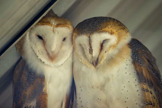 New Forest Wildlife Park 2023 79