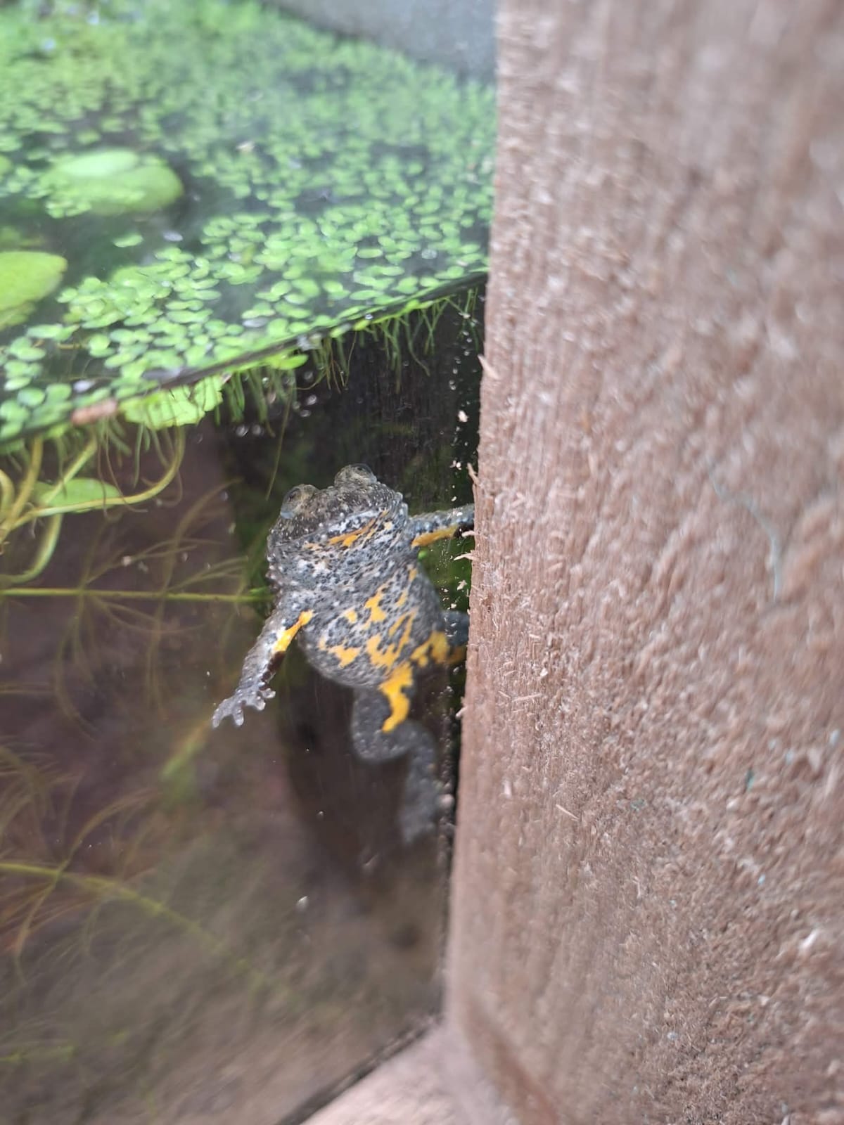 728E13dc 7428 475F 946E Cdfa37bcbe6f