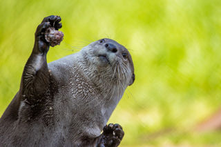 New Forest Wildlife Park 2023 67