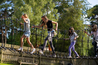 children on a climbing bridge