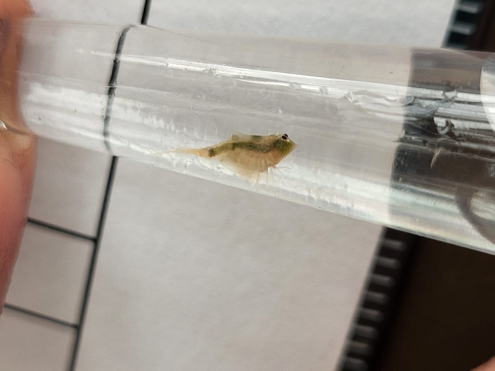 5Ca4f5bd 9B75 43Ed 865D 9B387b360990