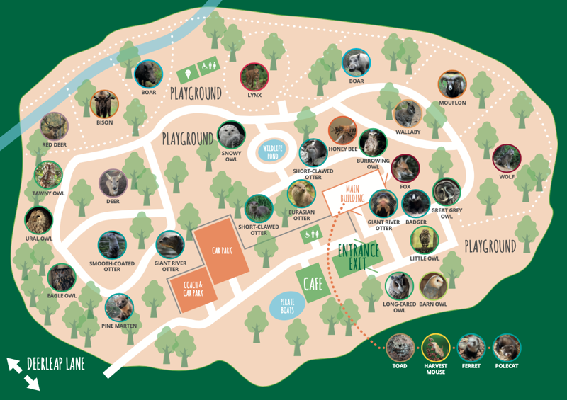 NFWP map