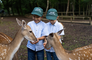 New Forest Keeper Experience