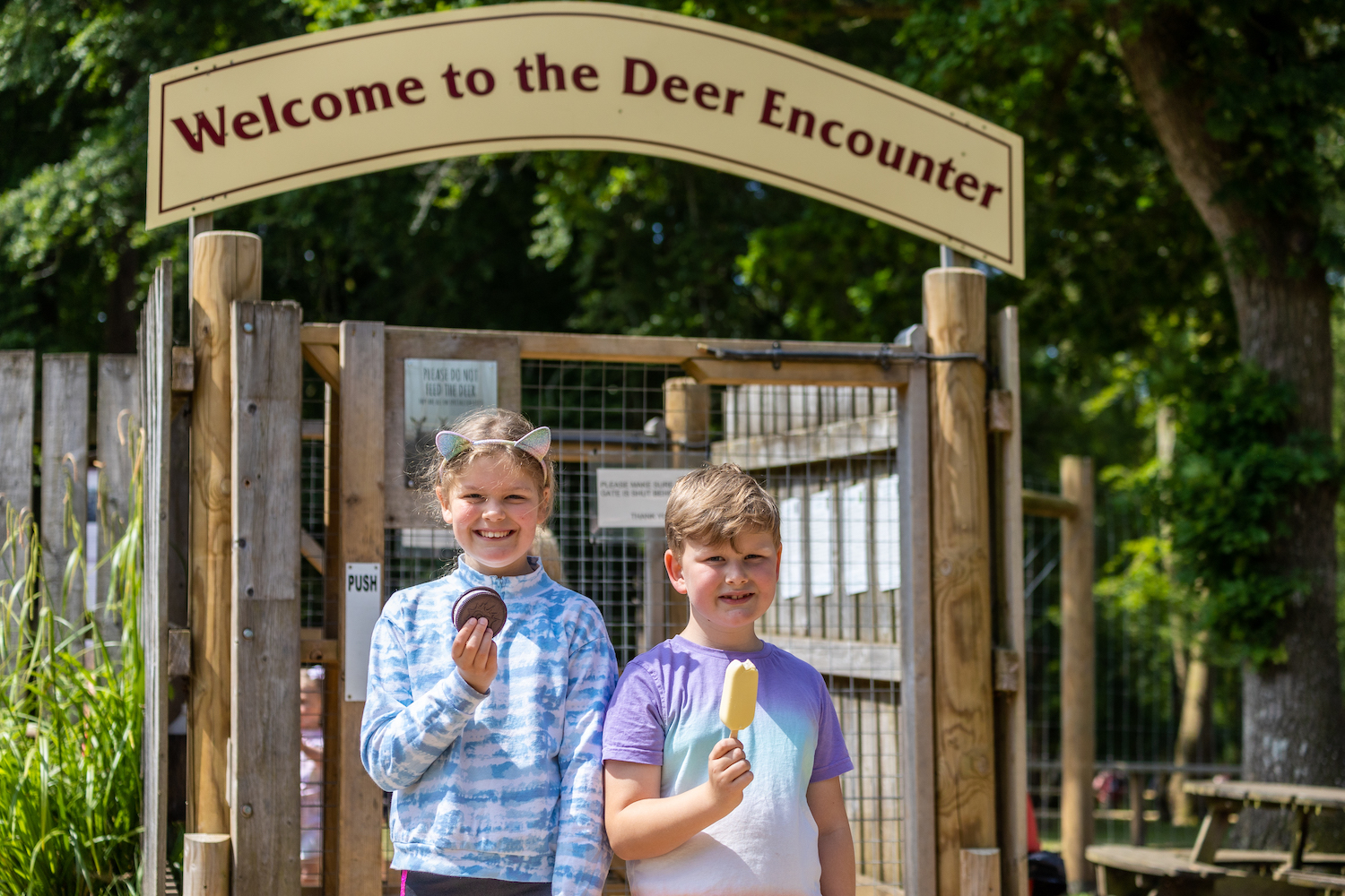 Ice Lollies Outside The Deer Enclosure
