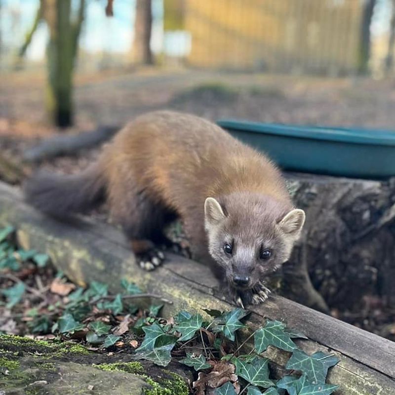 274713354 5096025993768885 9124416261360319151 N