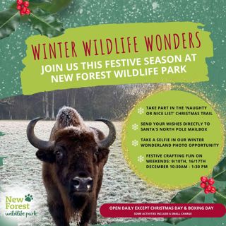 Winter Wildlife Wonders (3)